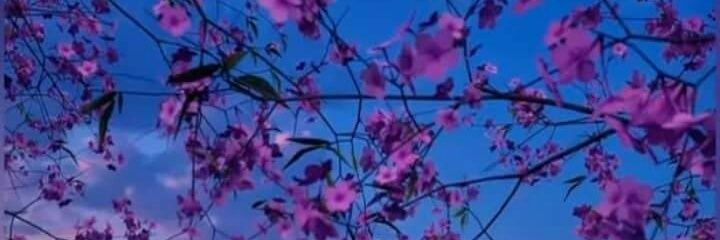 str59162's profile banner image