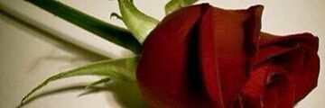 nasser070036's profile banner image