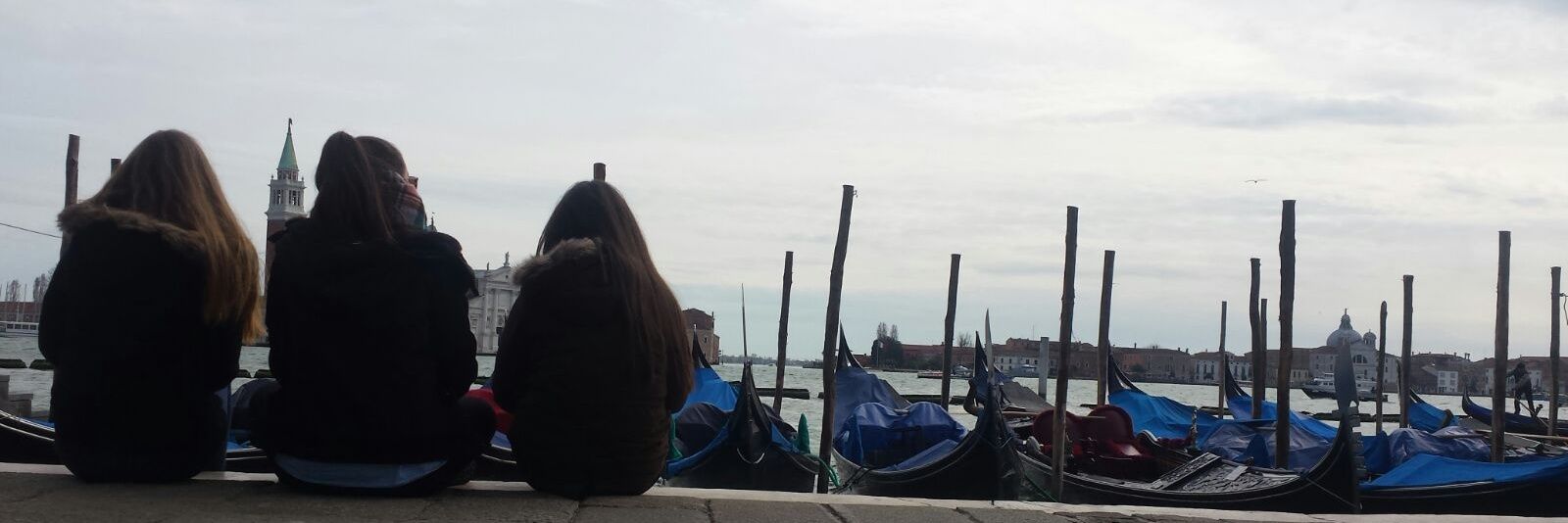 Estheer_81's profile banner image
