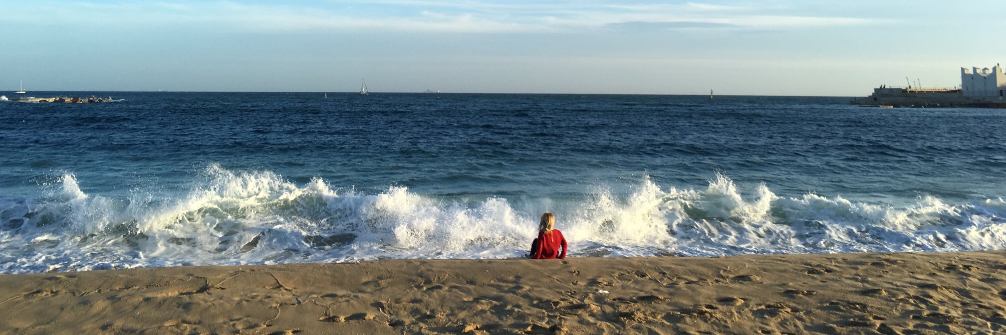 Joanna O'Meally banner