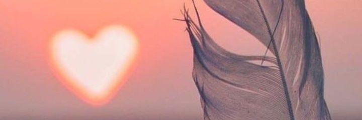eidelrefai's profile banner image