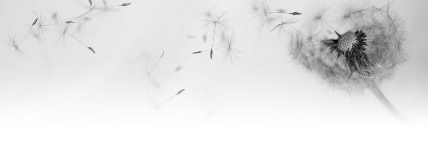 nimberlake's profile banner image