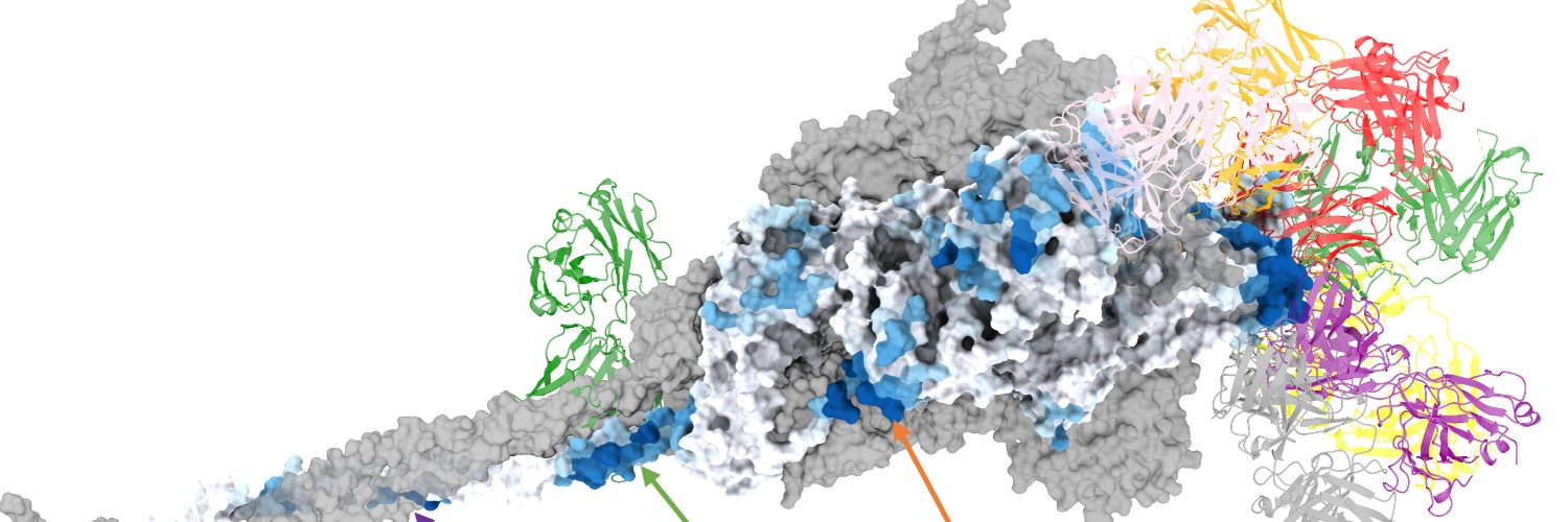 Jérôme Tubiana Profile Banner