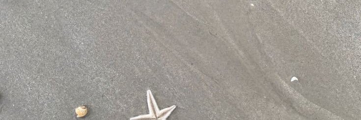 Mmiix37's profile banner image