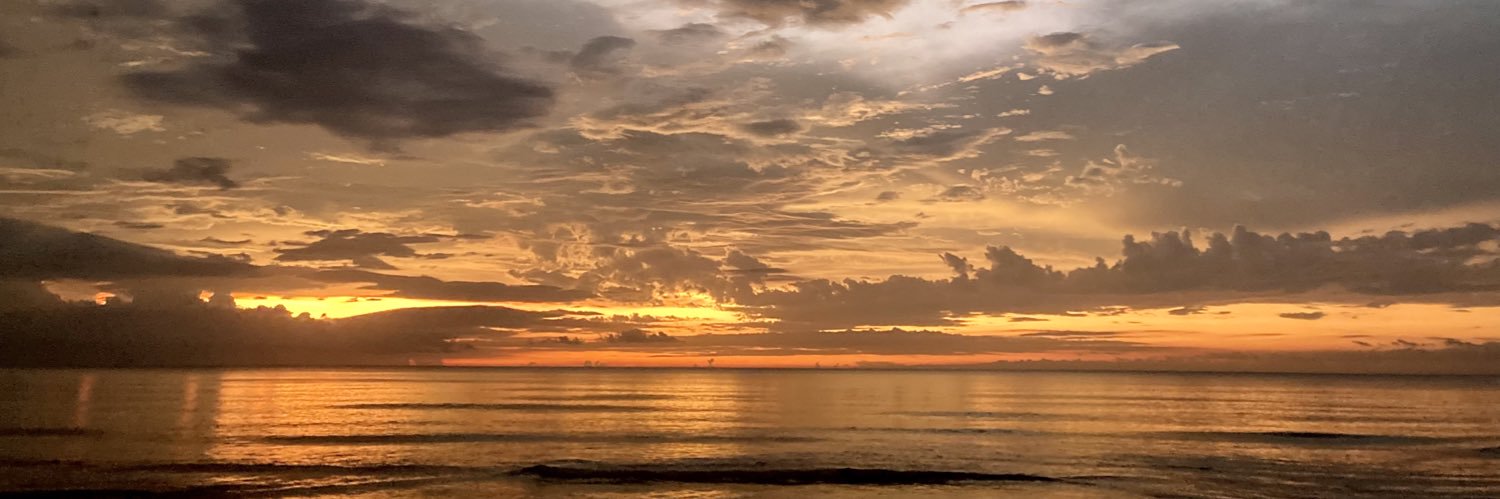 SOLlozzo_nft's profile banner image