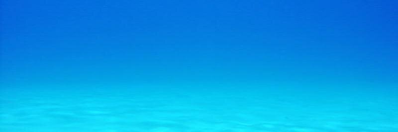 west305a's profile banner image