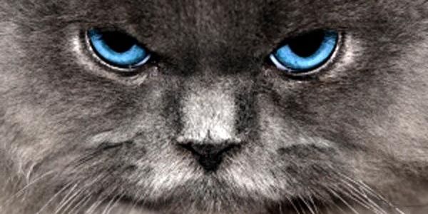 lalararaa's profile banner image