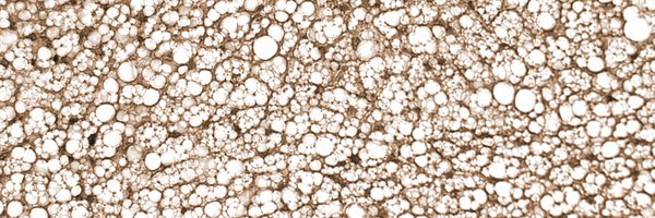 RubCereijo Profile Banner