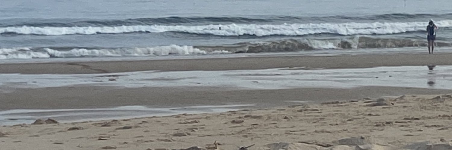 user184920582's profile banner image