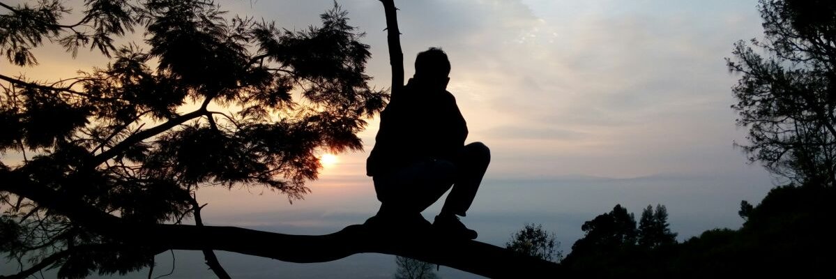 Ibashs's profile banner image