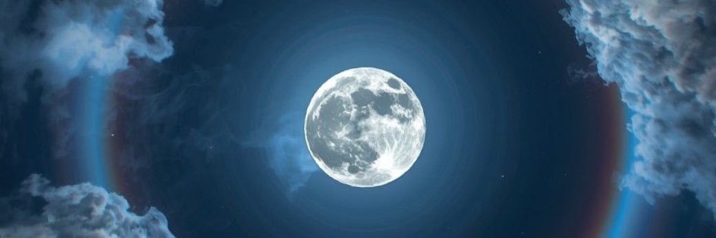 Lexi_Nichole01's profile banner image