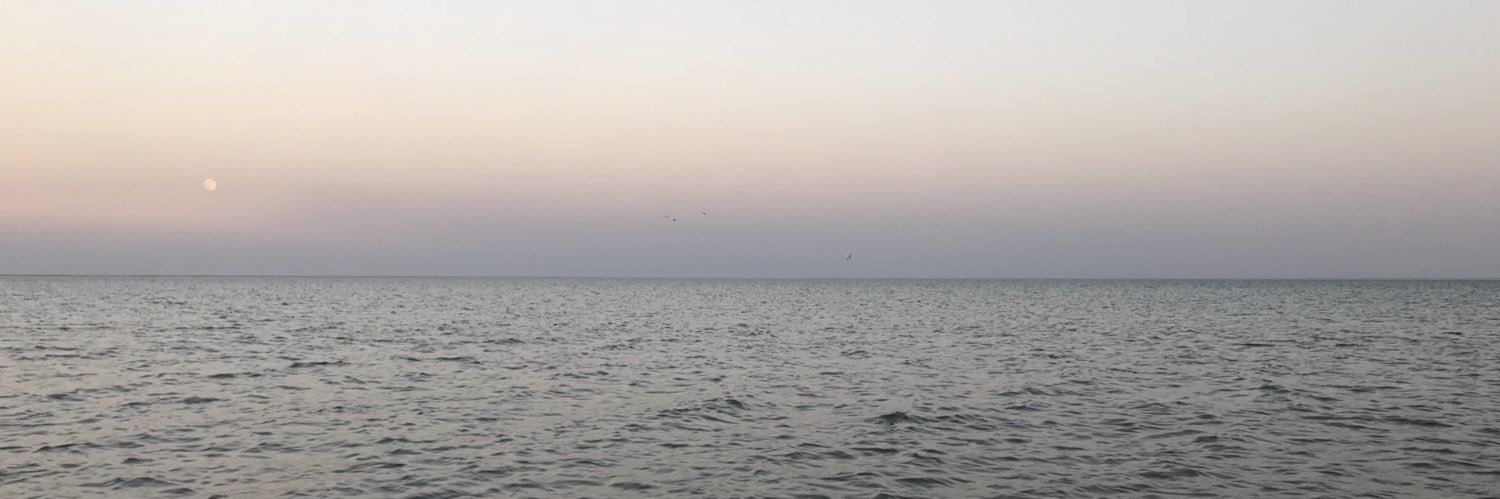 ShahaAlanezi's profile banner image