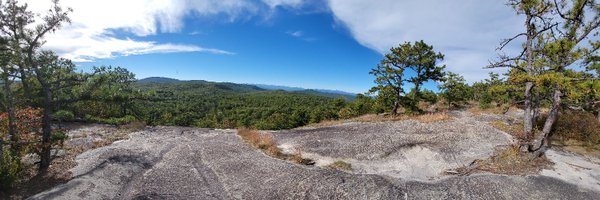 joncalhoun Profile Banner