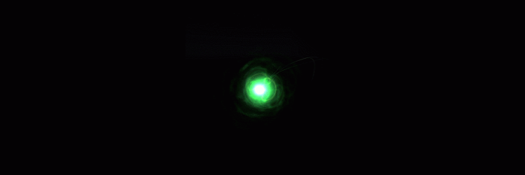 𝙫𝙚𝙧𝙖 . banner