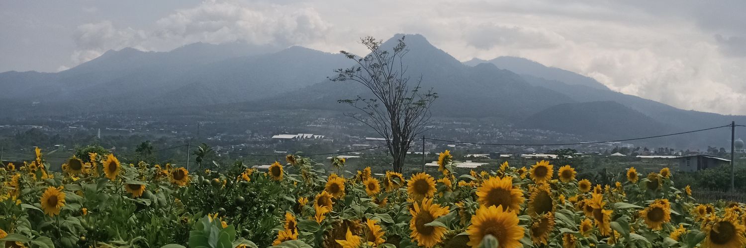 ilmdny's profile banner image