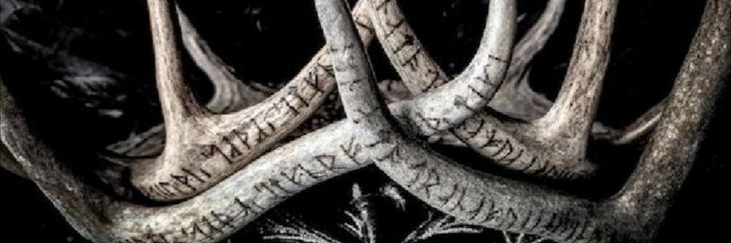 Runa Raven ~ᚱᚢᚾᚨ ᚱᚨᚡᛖᚾ~ banner