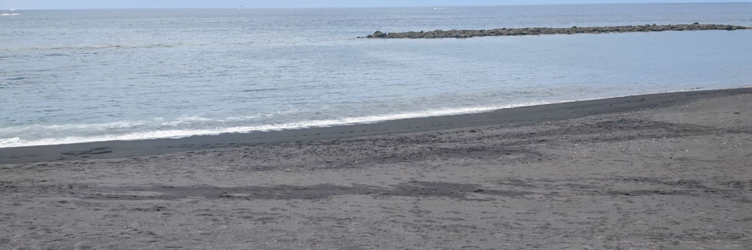 YuNeeqCG's profile banner image