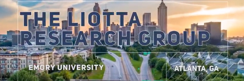 Liotta Research Group banner