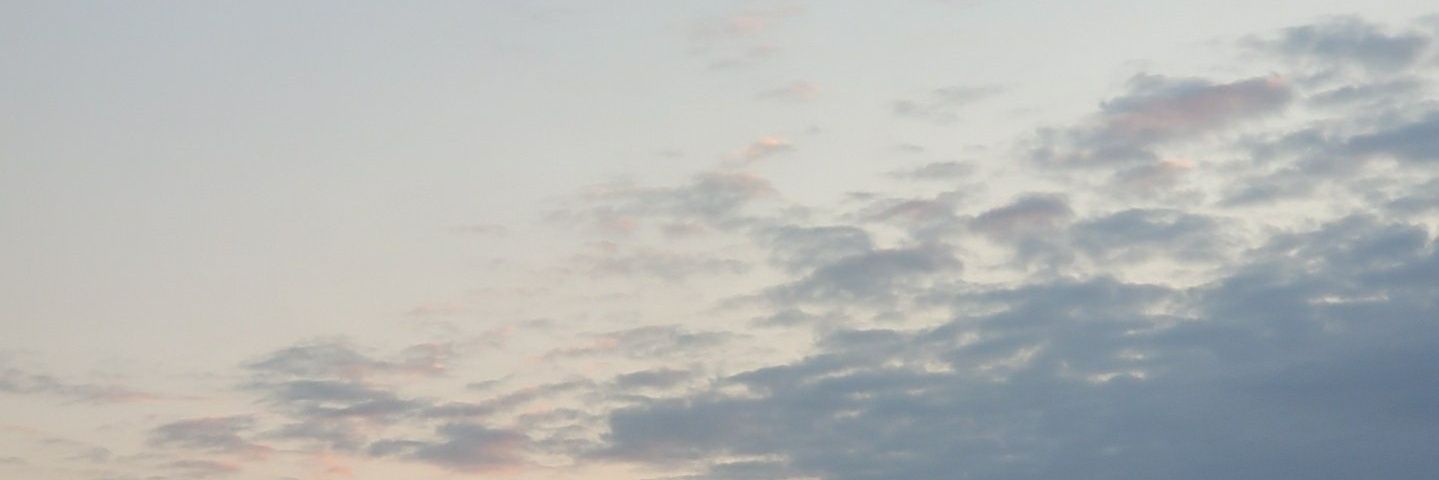 regitadap's profile banner image