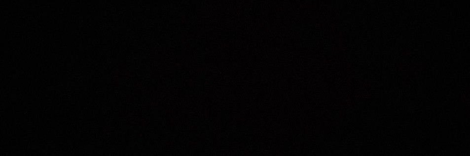 simon's banner
