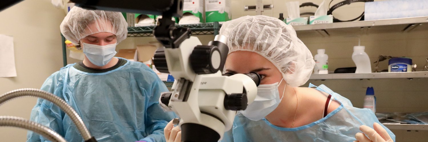 IU Psychological and Brain Sciences banner