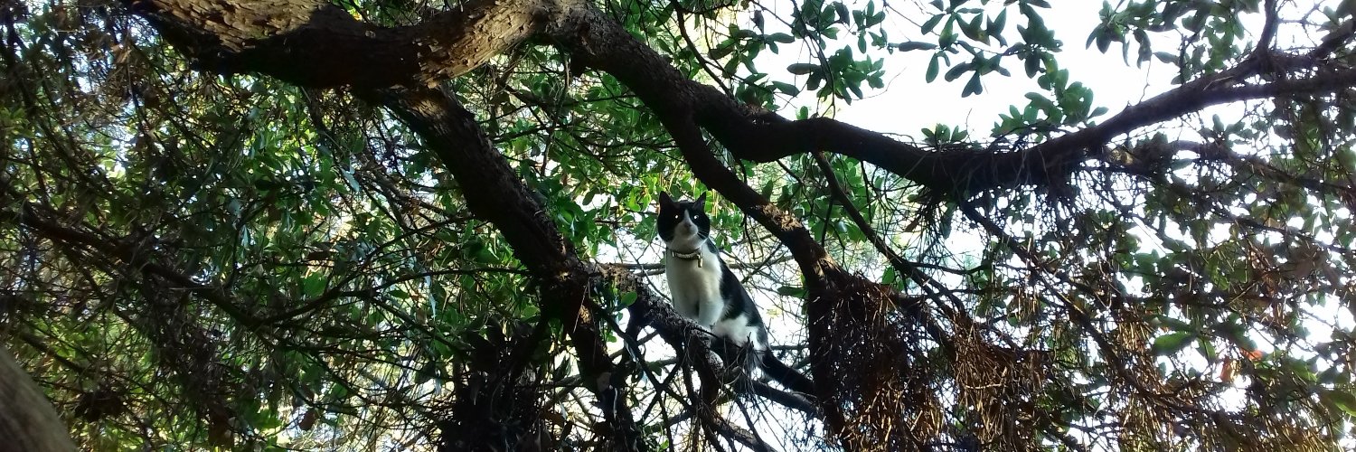 de Girolles Henry 🇫🇷 Liberté pour les perses ! banner