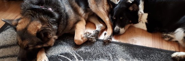 LukeVexT Profile Banner