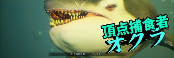 XwankoBOX Profile Banner