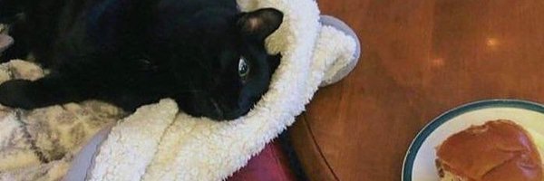 tezcatli0 Profile Banner