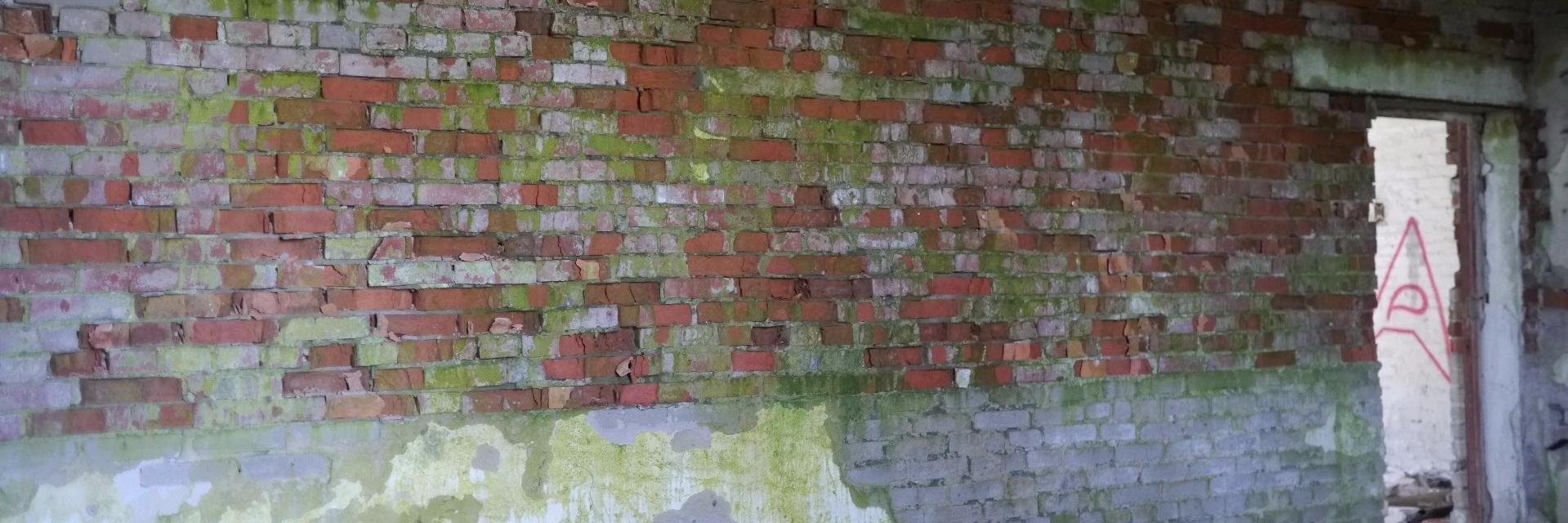 mindprints's profile banner image