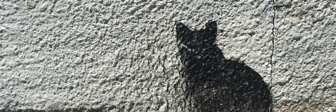 Shaun Gummere banner