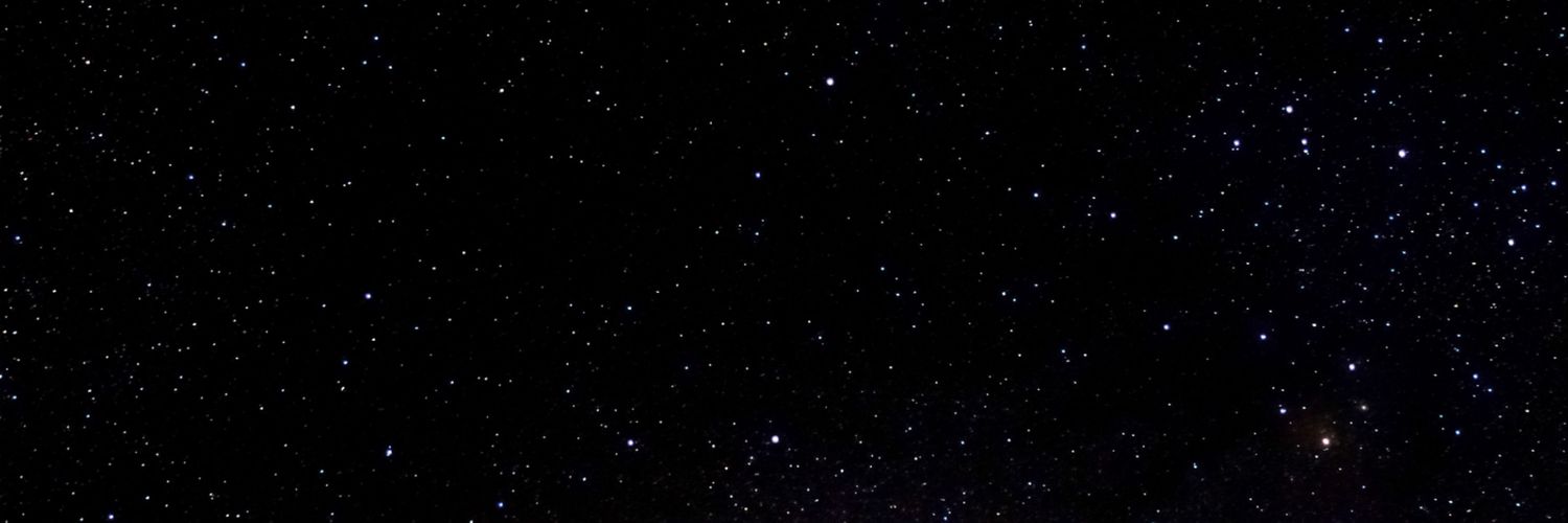 RocketMan💎 banner