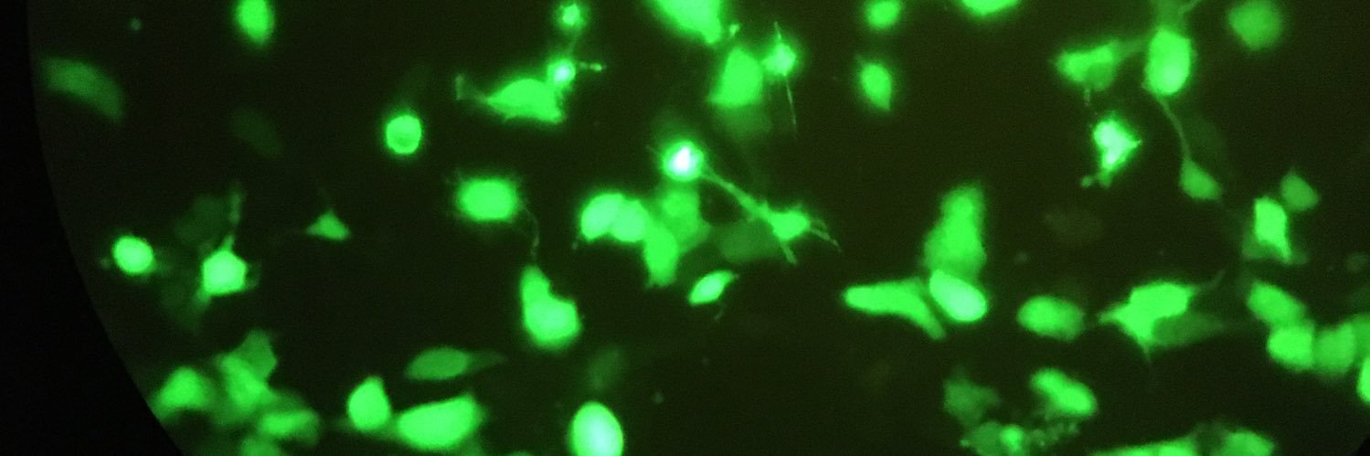 Nilanshu Manocha banner