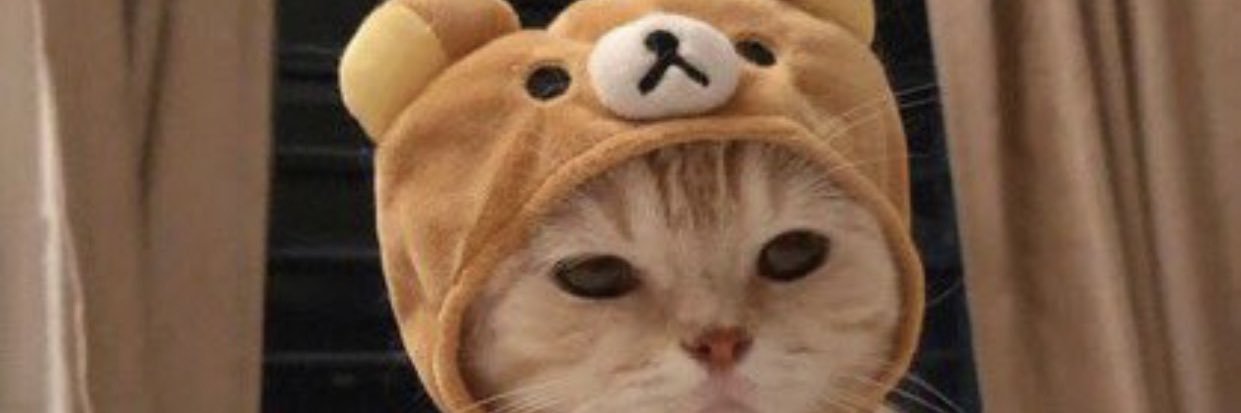 agesell24's profile banner image