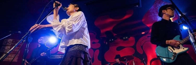 thegeckous's profile banner image