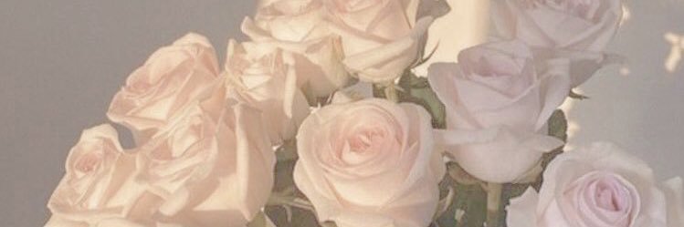 _mahaux's profile banner image