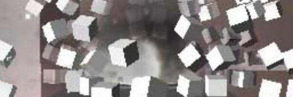 _South Profile Banner