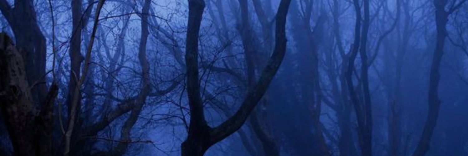 thecloudycat's profile banner image