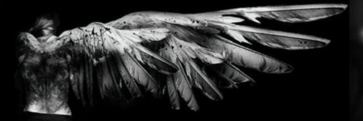 Friolirios's profile banner image