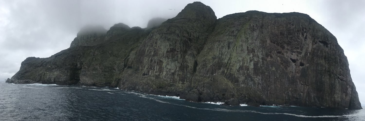 malpelo_eth's profile banner image