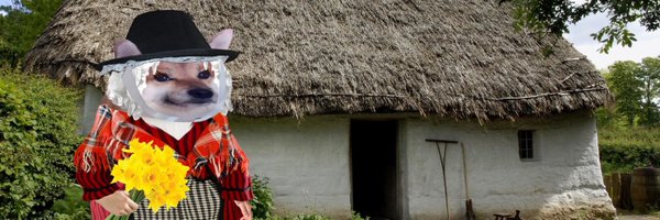 ed97554968 Profile Banner