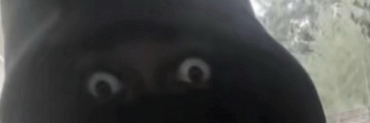 user1588367215's profile banner image