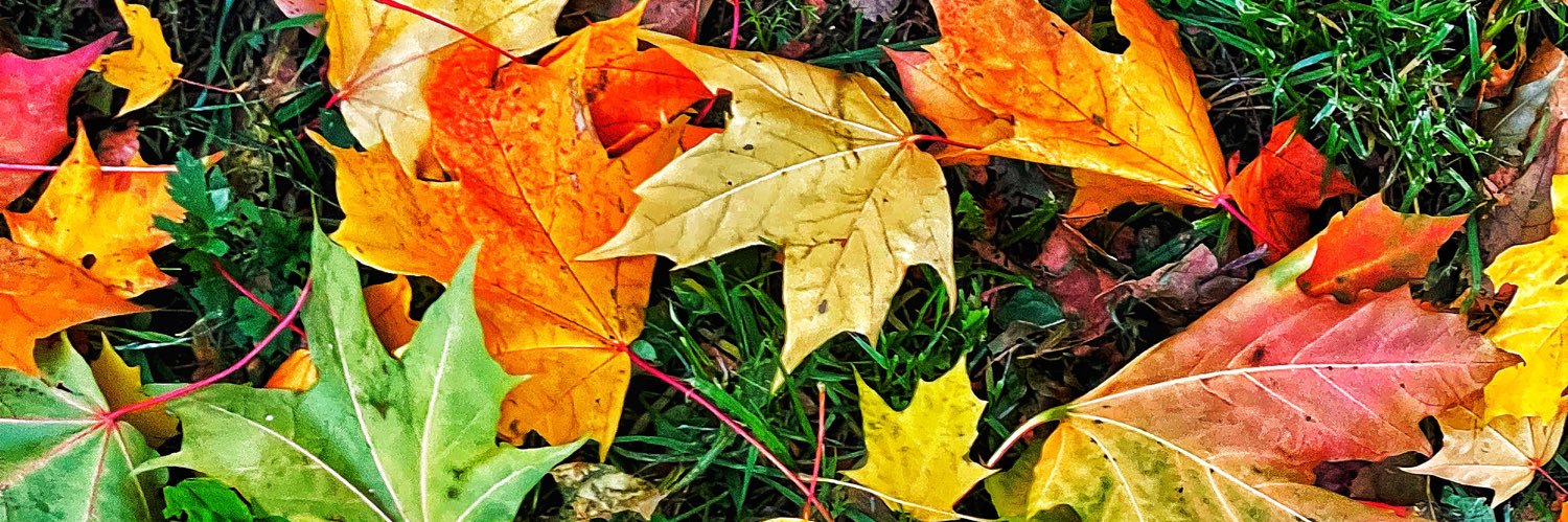 Dmitry Arzhanykh banner