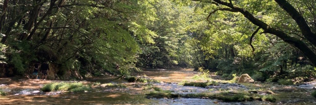 MJ(えむじぇ) @うつ病み/闘病垢 banner