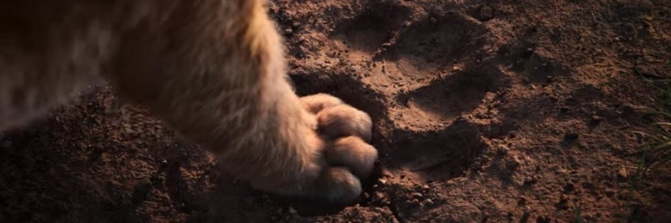 TradeTheTulips's profile banner image