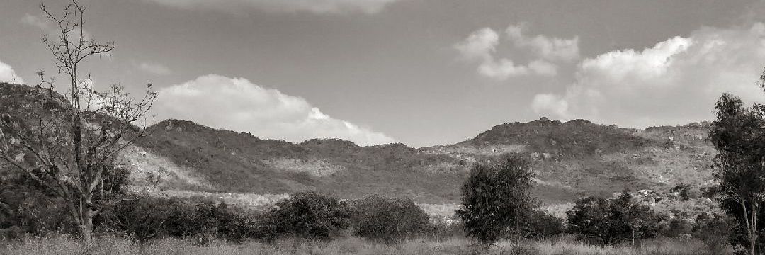chetsdj's profile banner image