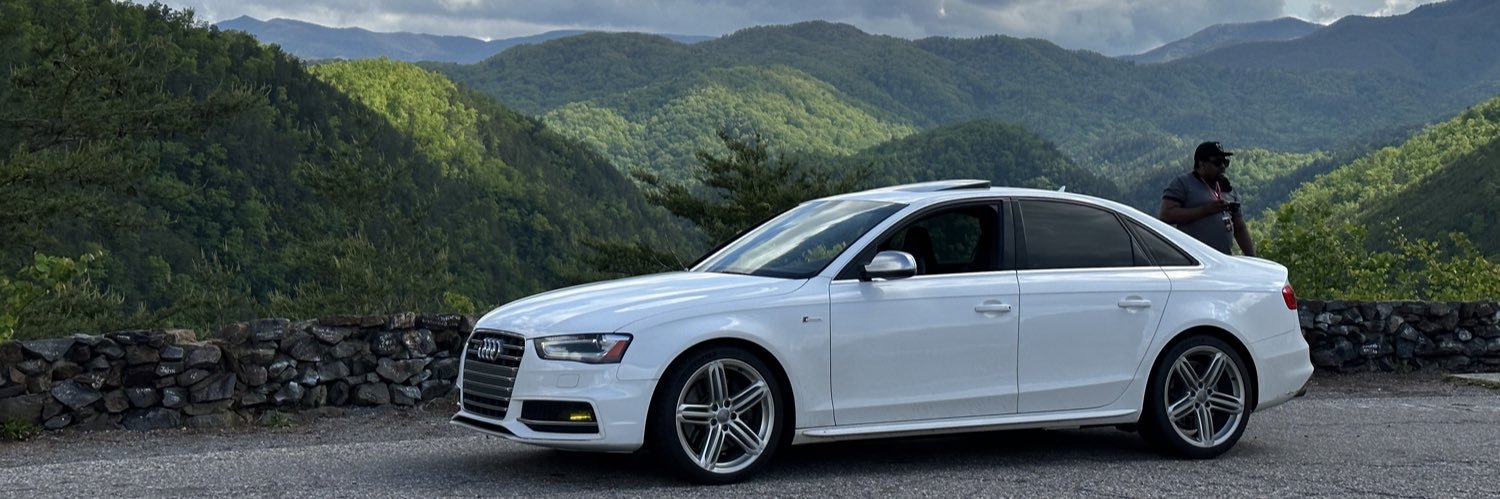 🐾 Zuki Curl @Home banner