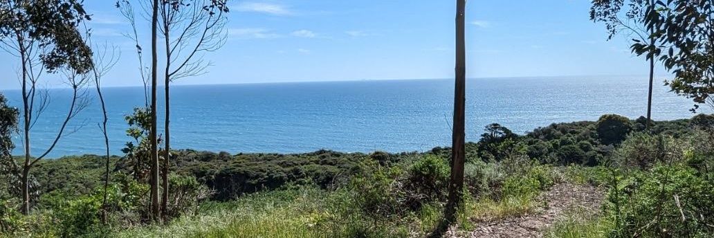 Travis Bailey banner