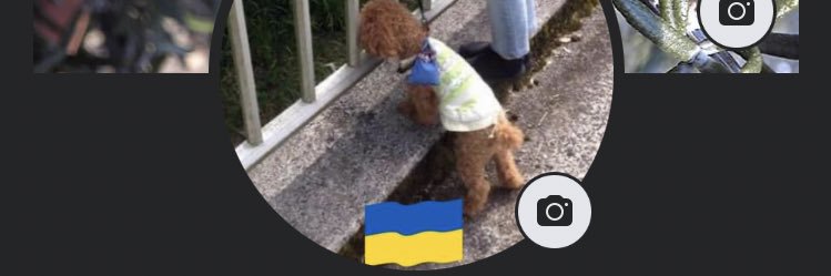 yuuhichic's profile banner image