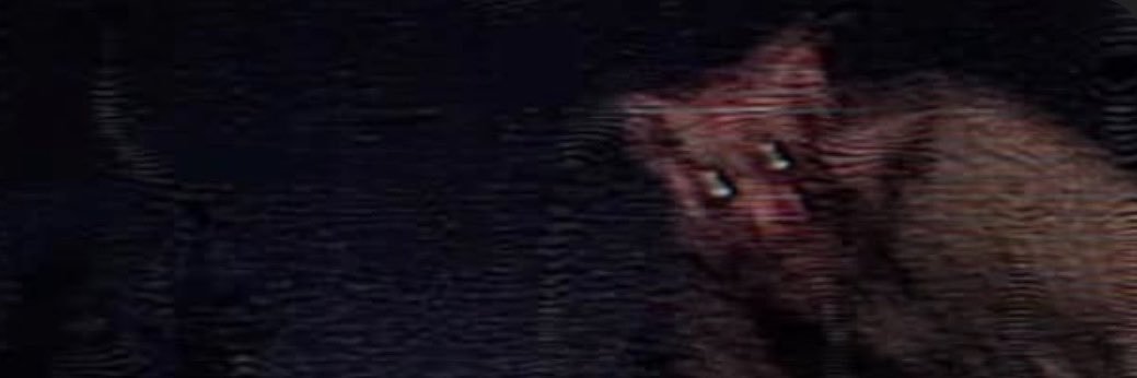 __jasontodd's profile banner image